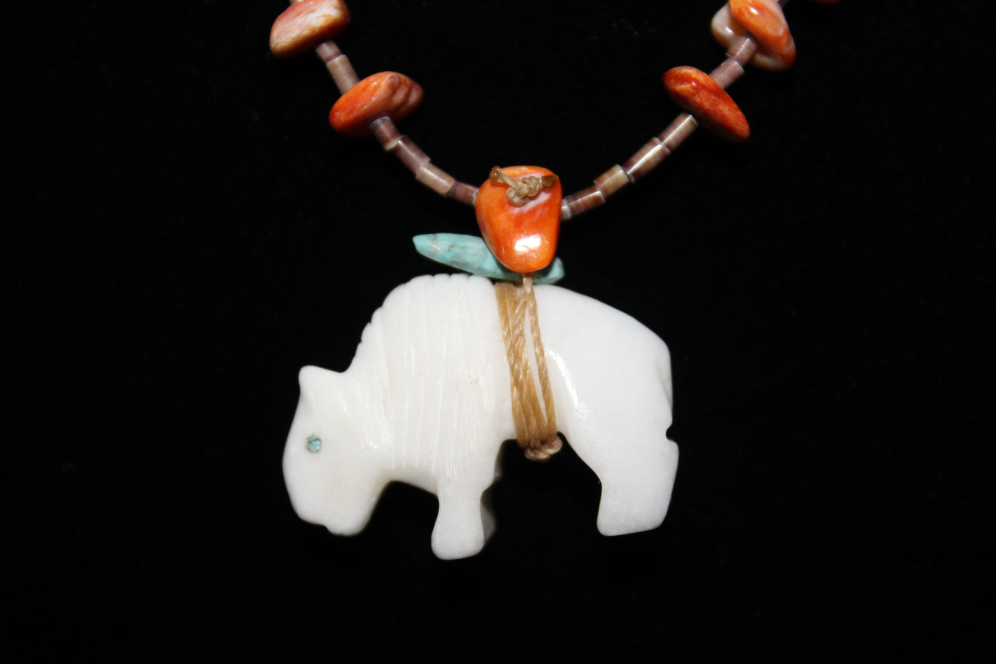 White Buffalo