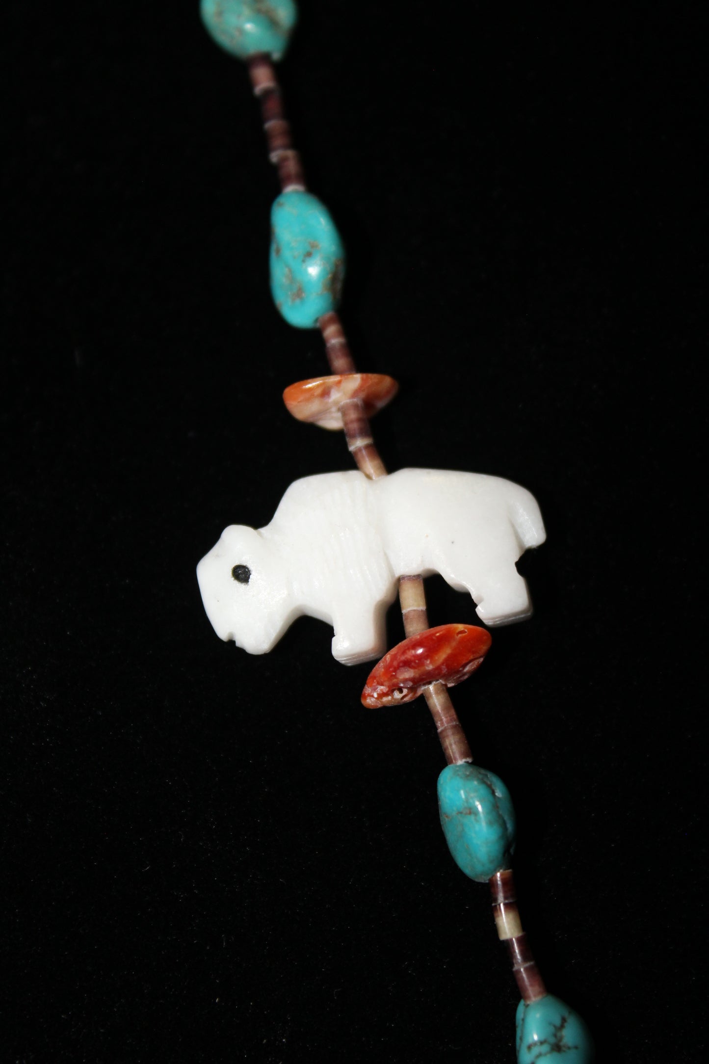 White Buffalo